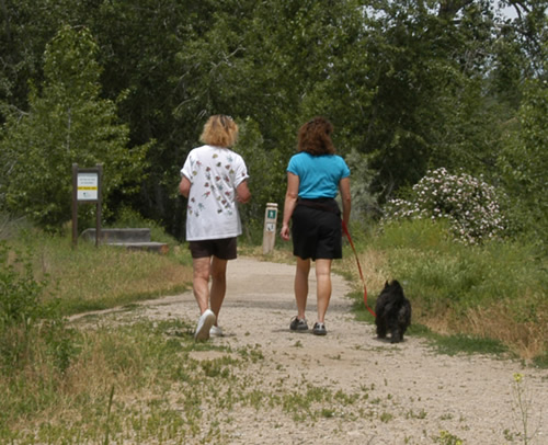 walking a dog