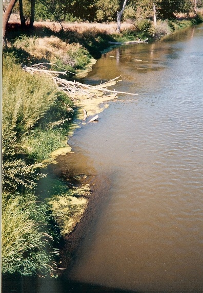 shoreline below parma