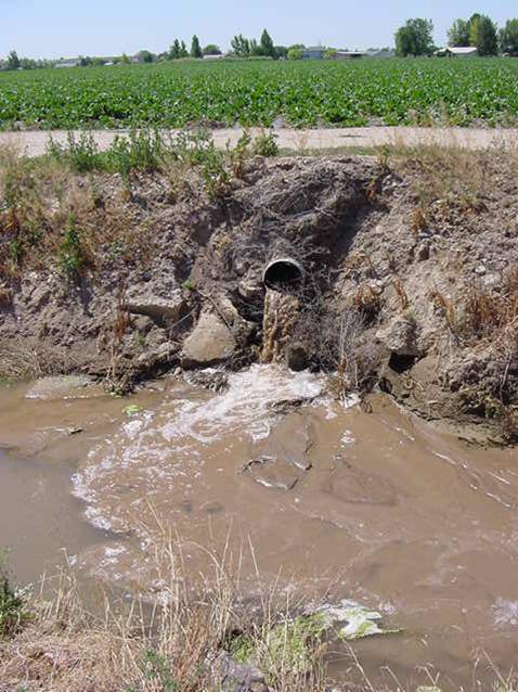muddy pipe
